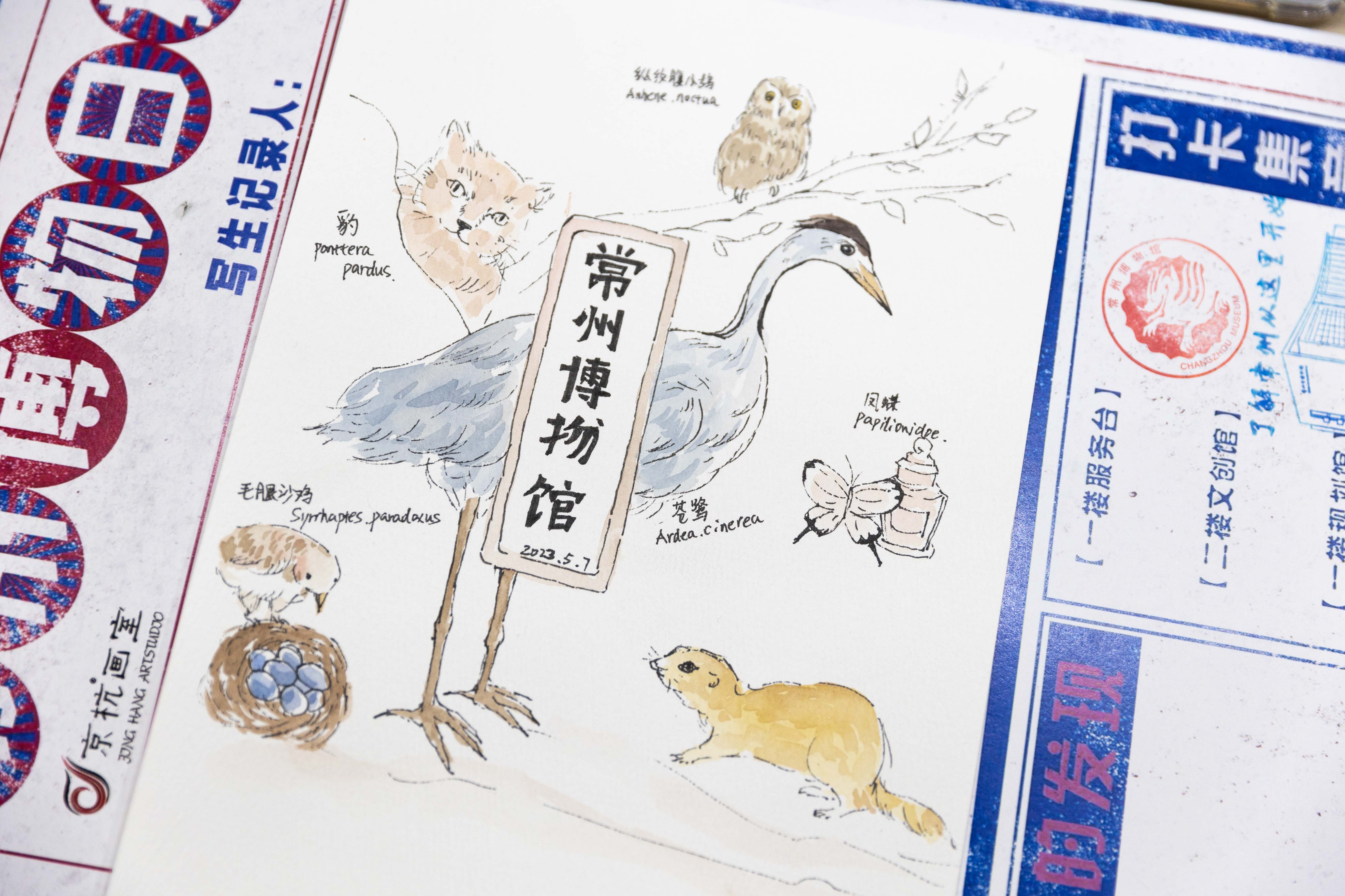 活动日练习
